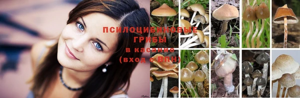 шишки Армянск