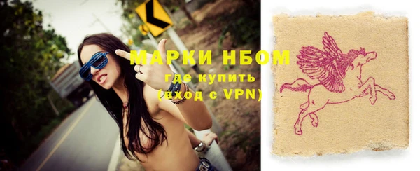 прущие грибы Аркадак