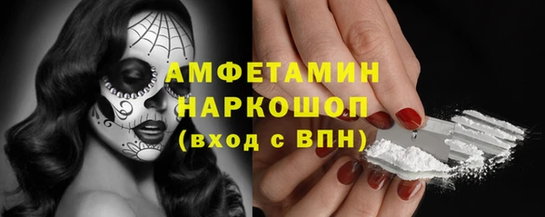 прущие грибы Аркадак