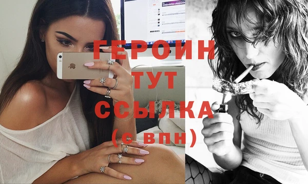 прущие грибы Аркадак