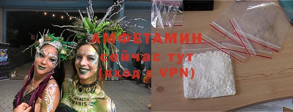 прущие грибы Аркадак