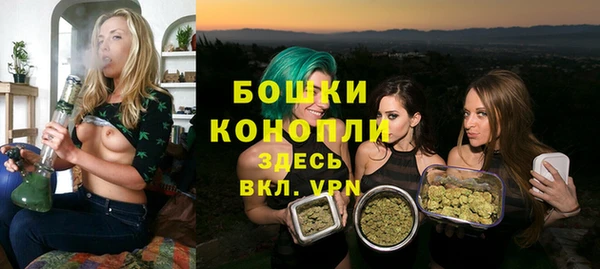 шишки Армянск