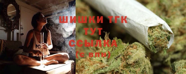 прущие грибы Аркадак